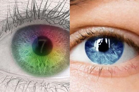 睡眠中的瞳孔大小揭示记忆如何分类与保存
